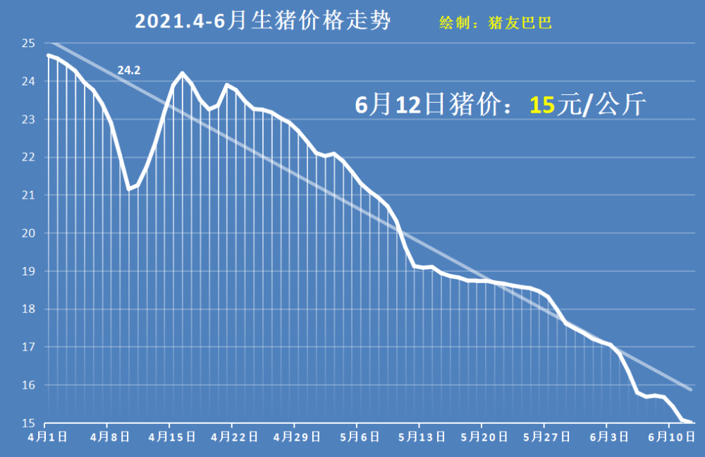 全國(guó)生豬價(jià)格最新行情分析今日發(fā)布