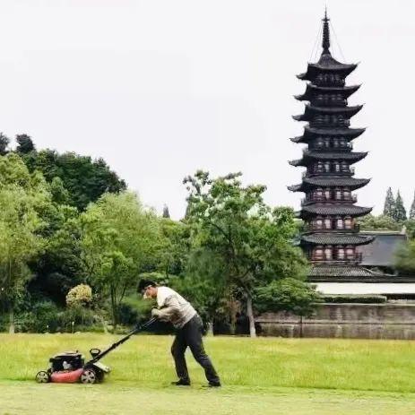 中山年票最新動(dòng)態(tài)，政策調(diào)整及未來展望