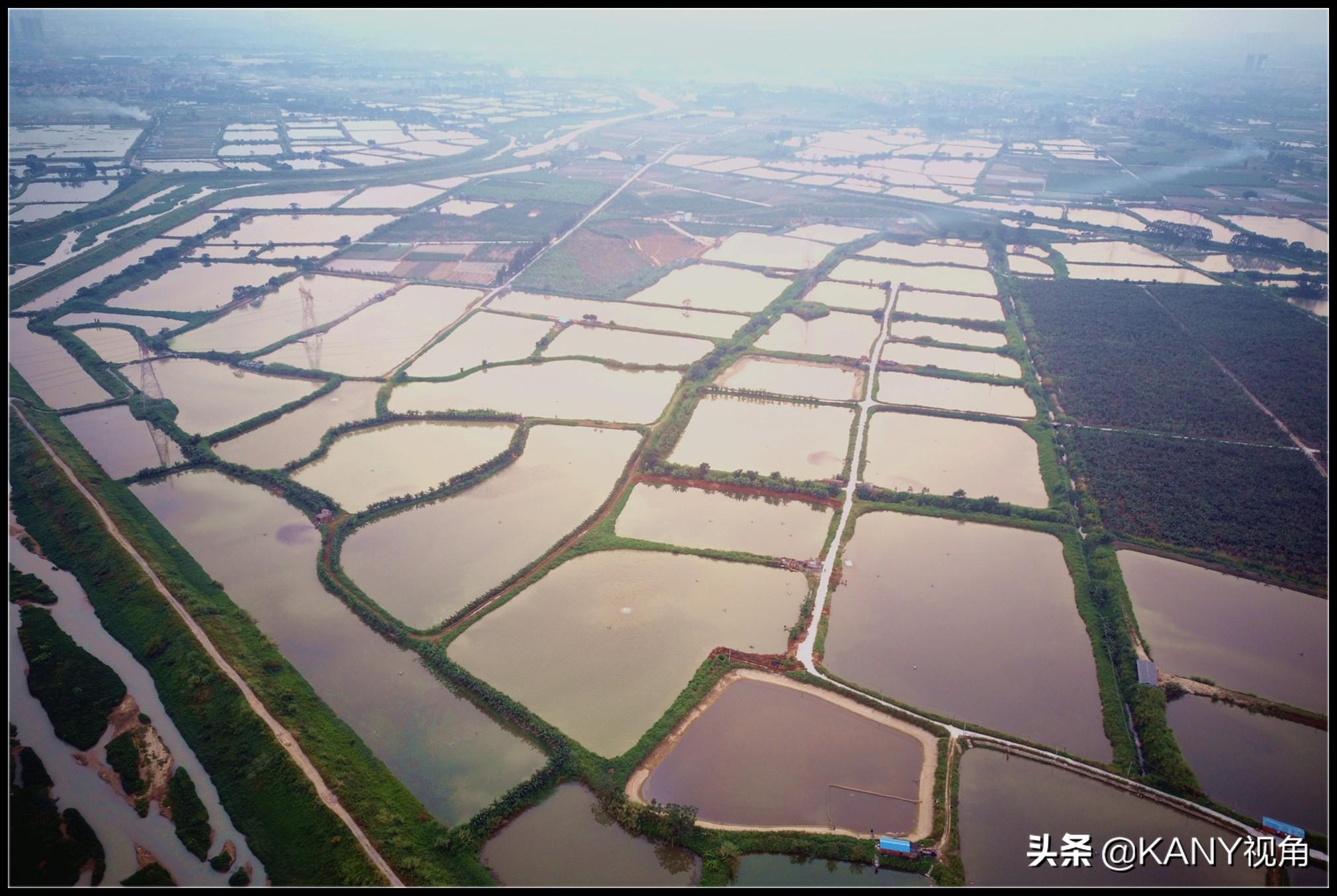 石灣喜斯達招聘啟事，職位空缺等你來挑戰(zhàn)