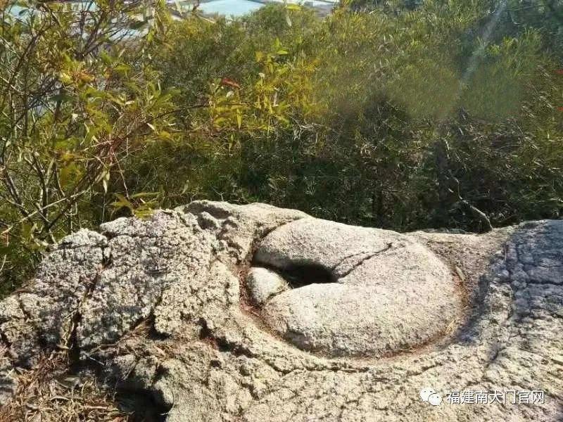 詔安時代國際最新消息深度解讀與分析