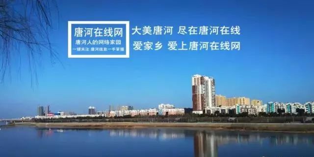 唐河建市最新消息全面解讀與分析