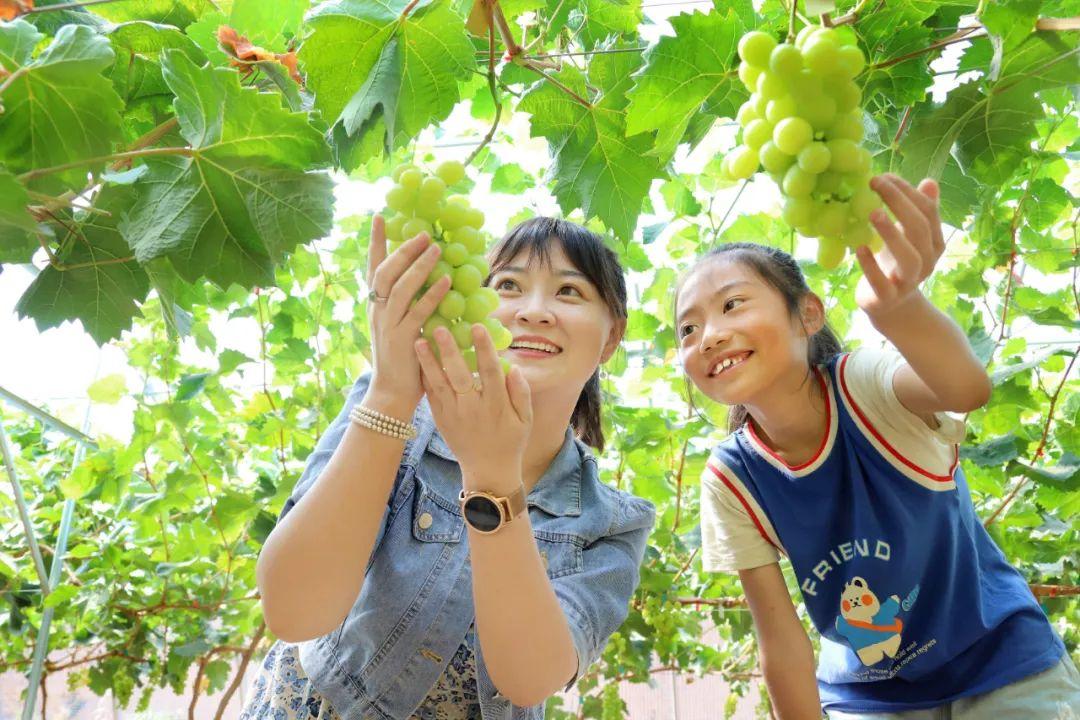 2025年1月12日 第35頁